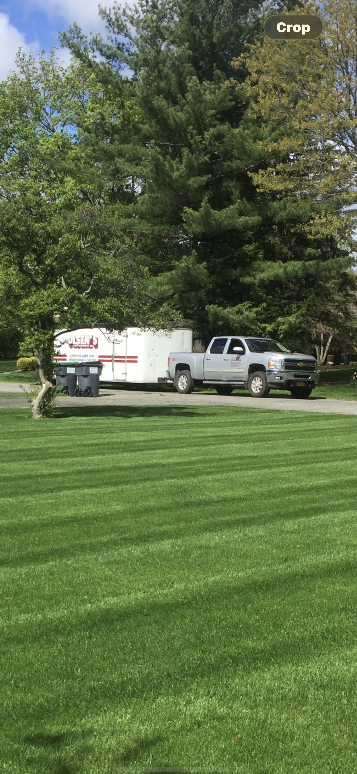 professional lawn maintenance for commercial property in latham ny